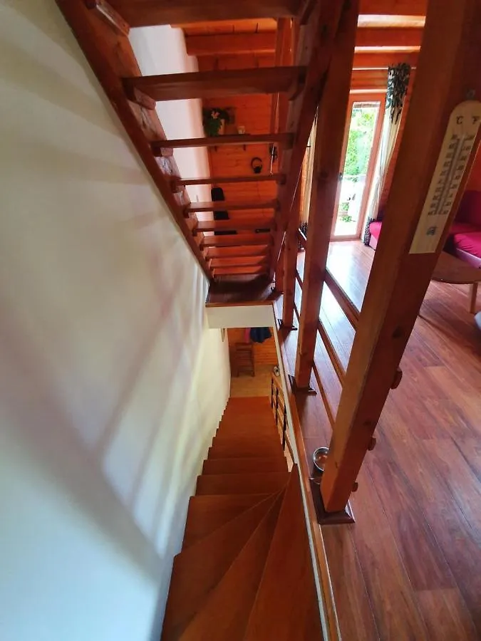 Chalet Forest House Masha Mrkopalj
