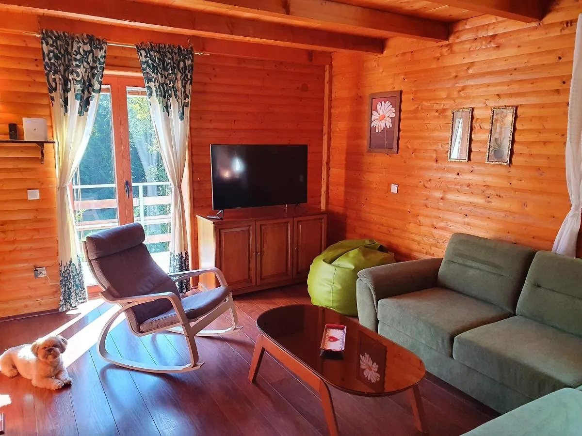 Chalet Forest House Masha Mrkopalj Croatia