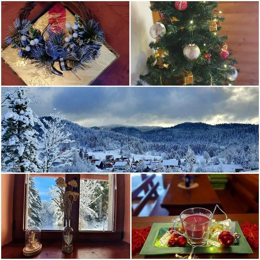Forest House Masha Mrkopalj Chalet