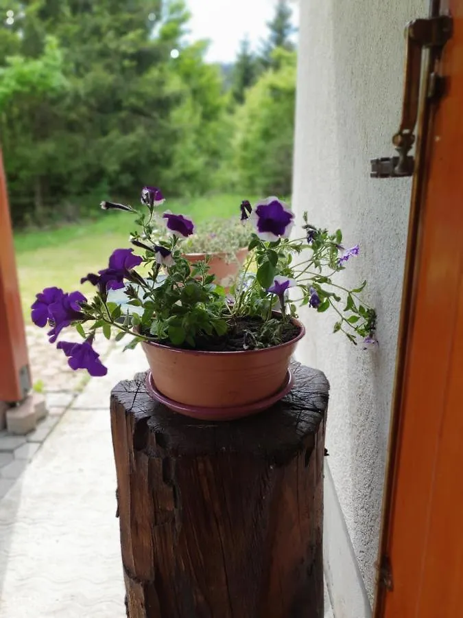 Horská chata Forest House Masha Mrkopalj