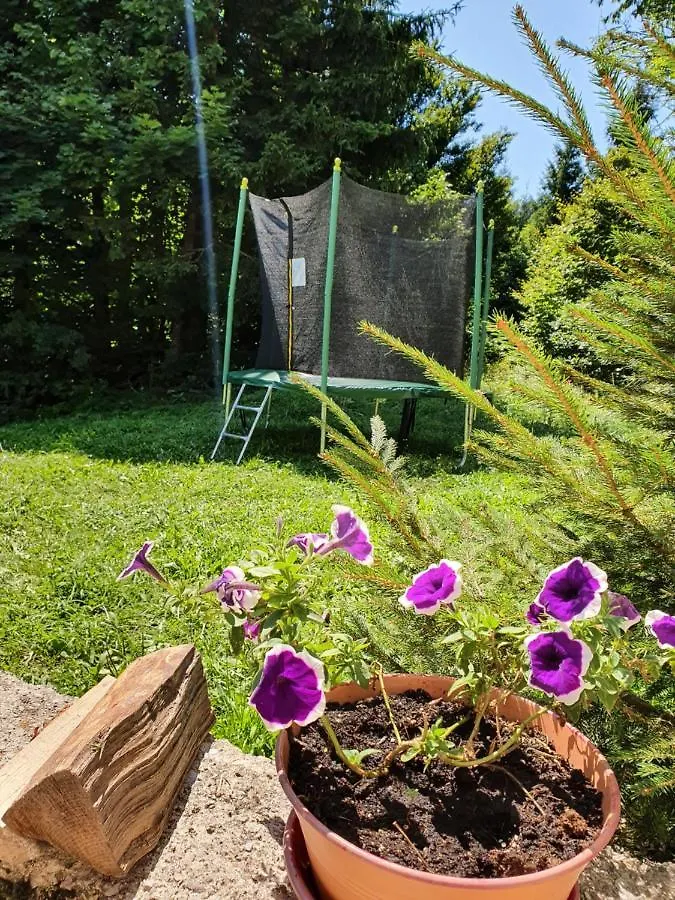 Horská chata Forest House Masha Mrkopalj